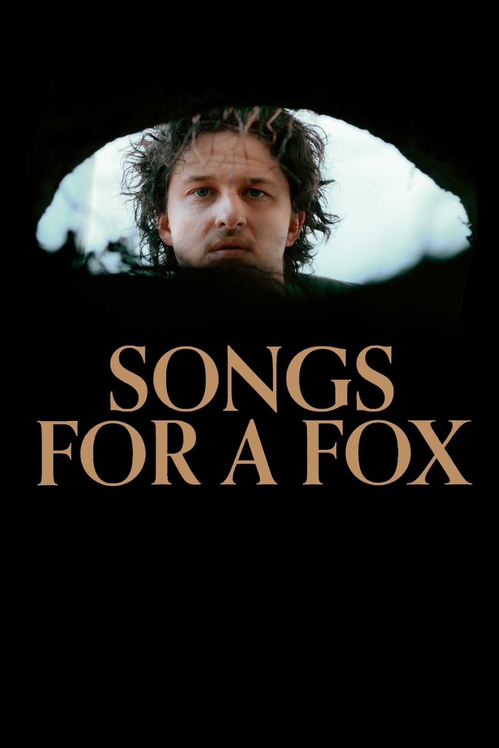 Songs for a Fox Hindi Dubbed Movie Poster (2021)
