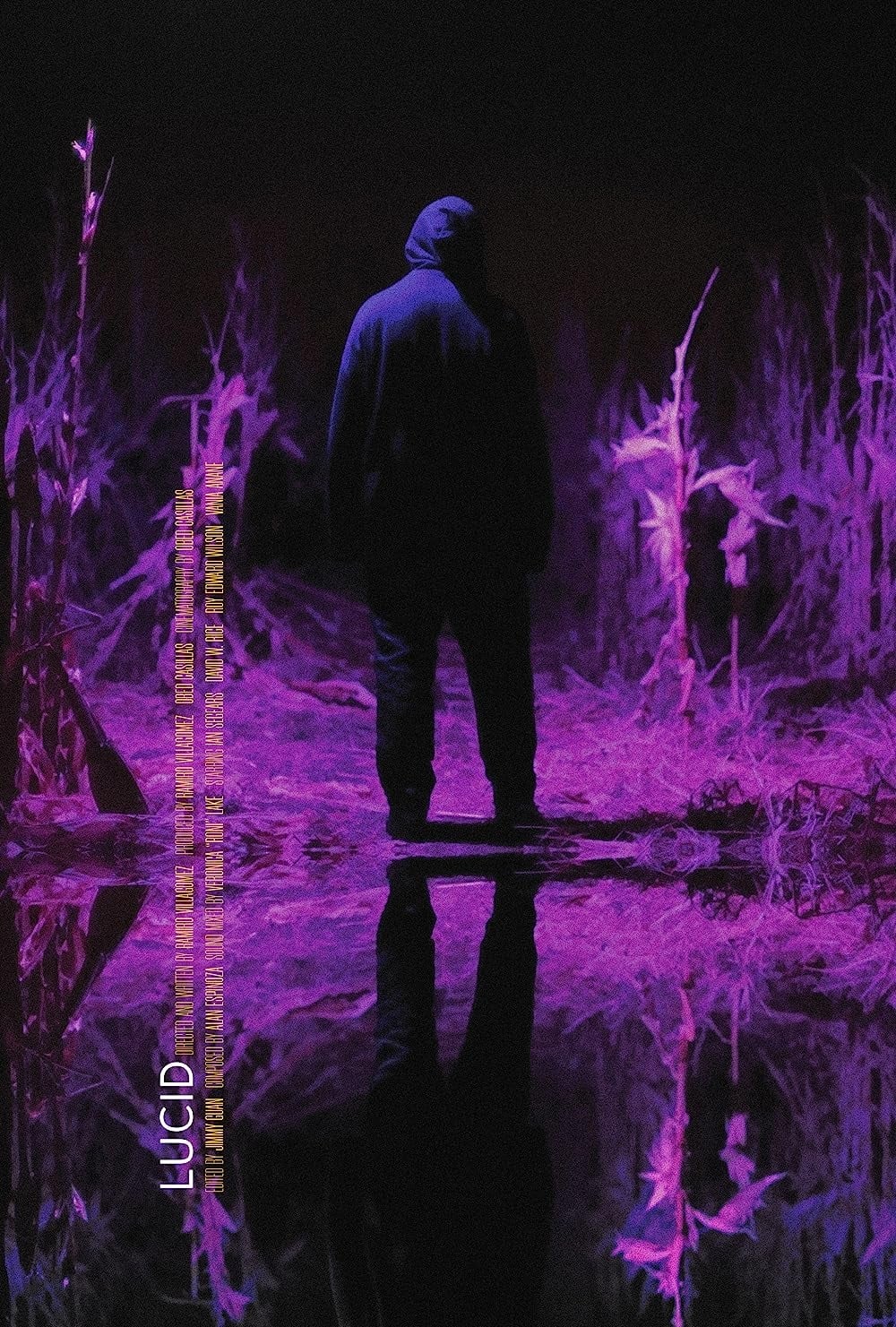 Lucid Hindi Dubbed Movie Poster (2021)