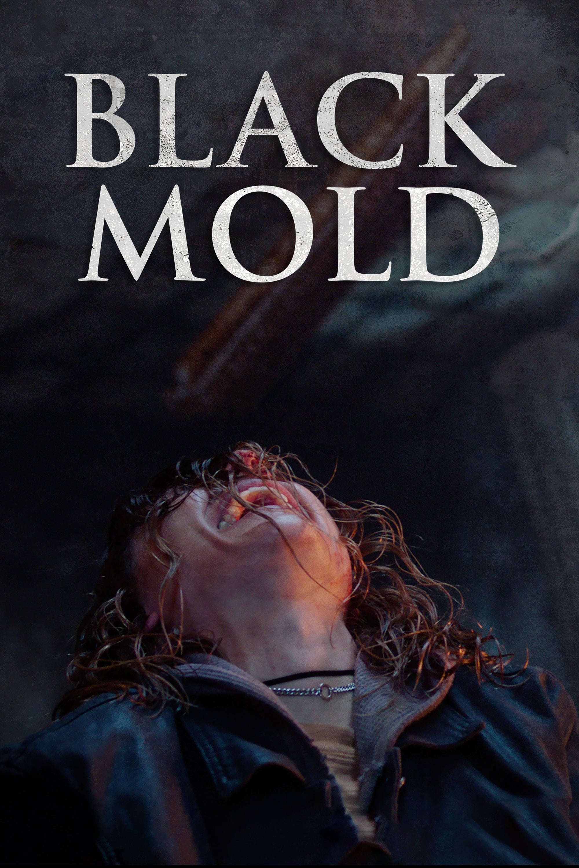 Black Mold Hindi Dubbed Movie Poster (2023)