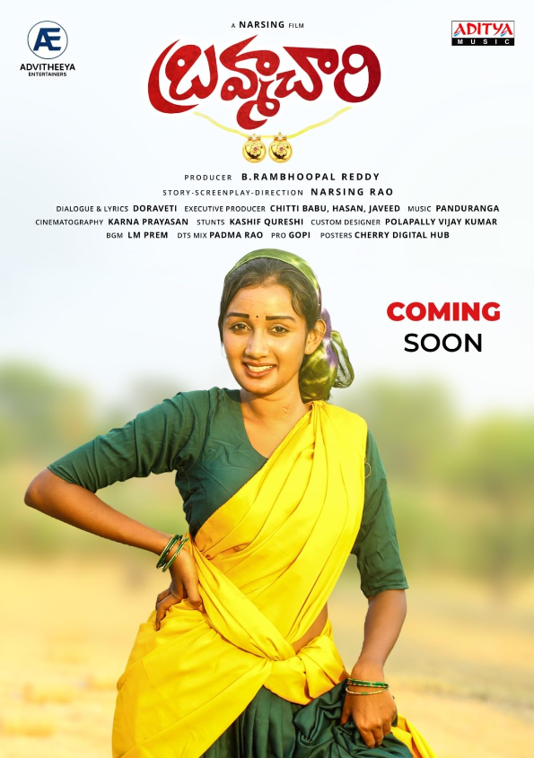 Brahmachari Hindi Dubbed Movie Poster (2024)