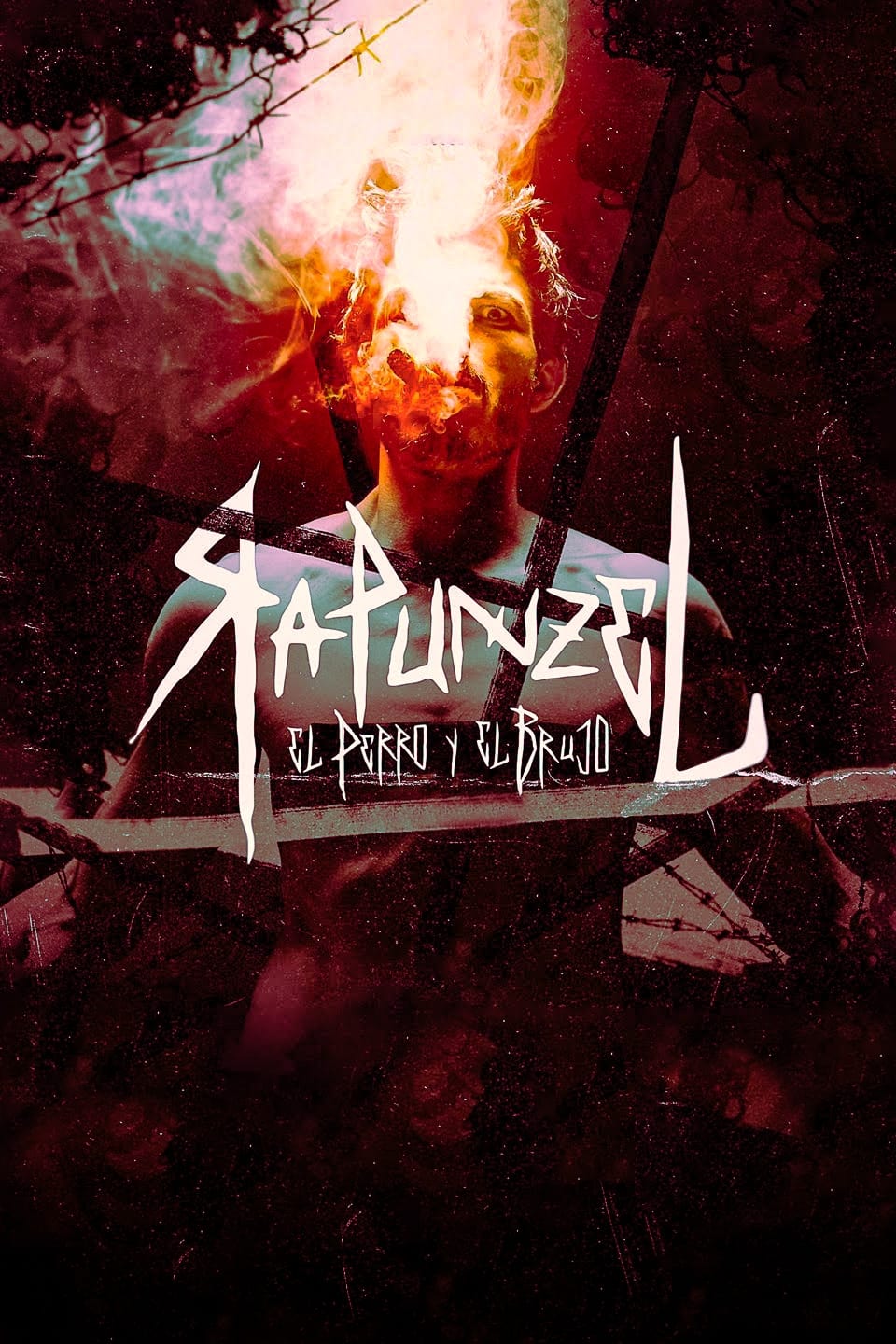 Rapunzel, The Dog and The Warlock Hindi Dubbed Movie Poster (2024)