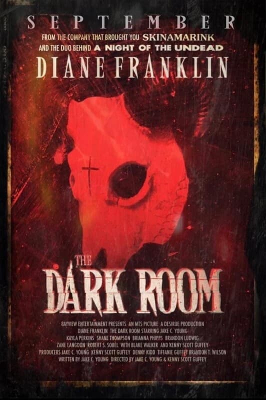 The Dark Room Hindi Dubbed Movie Poster (2023)