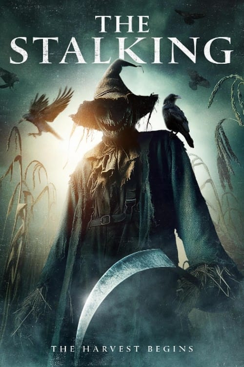 The Stalking Hindi Dubbed Movie Poster (2024)