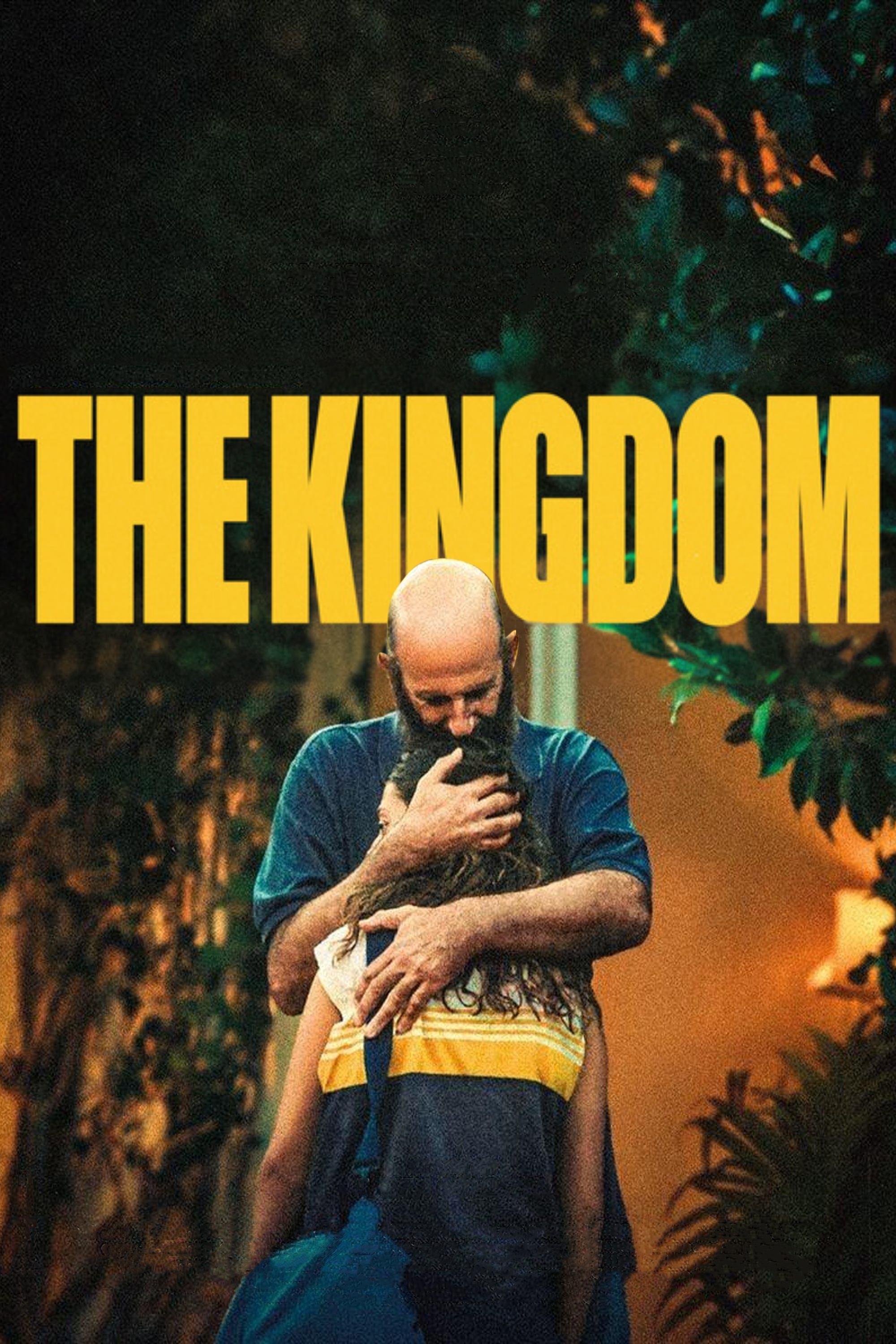 The Kingdom Hindi Dubbed Movie Poster (2024)