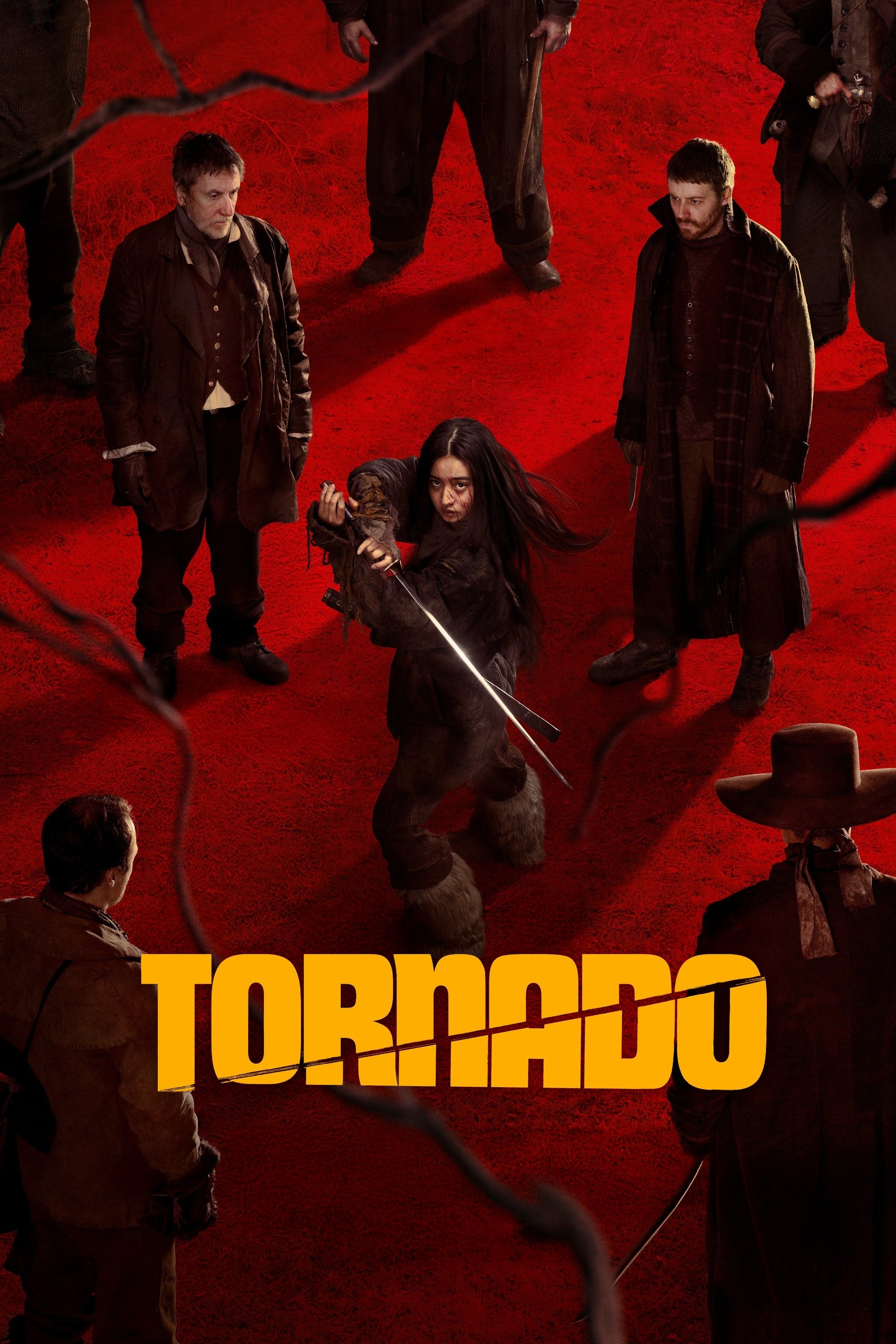 Tornado Hindi Dubbed Movie Poster (2025)